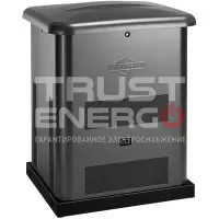 Газовый генератор Briggs & Stratton G60 с АВР